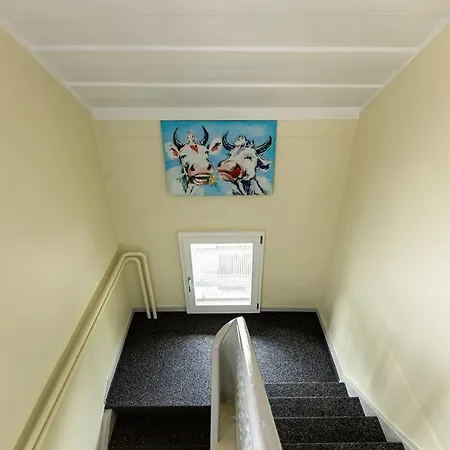 해피 인 롯지 호스텔 인터라켄